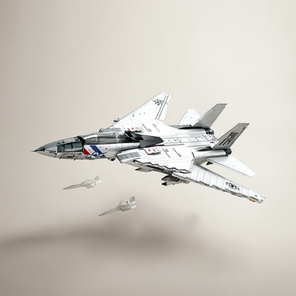 Military combat plane F14